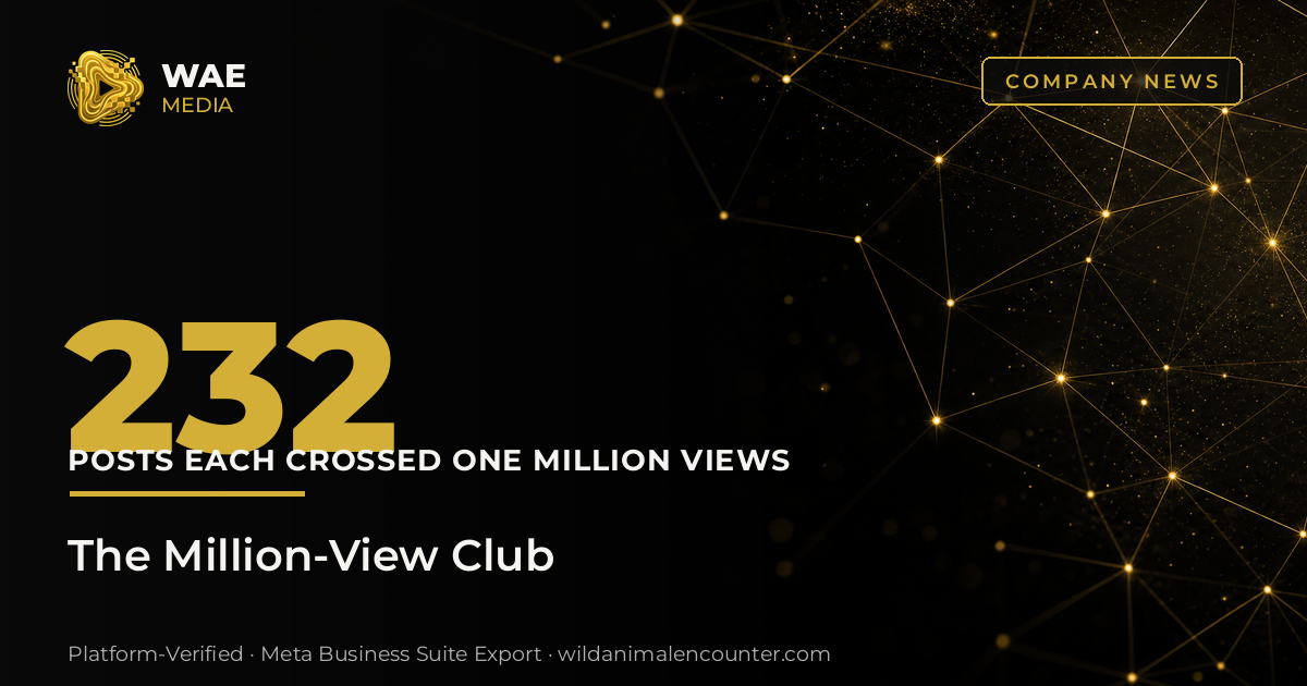 The Million-View Club: 232 Posts That Each Crossed One Million