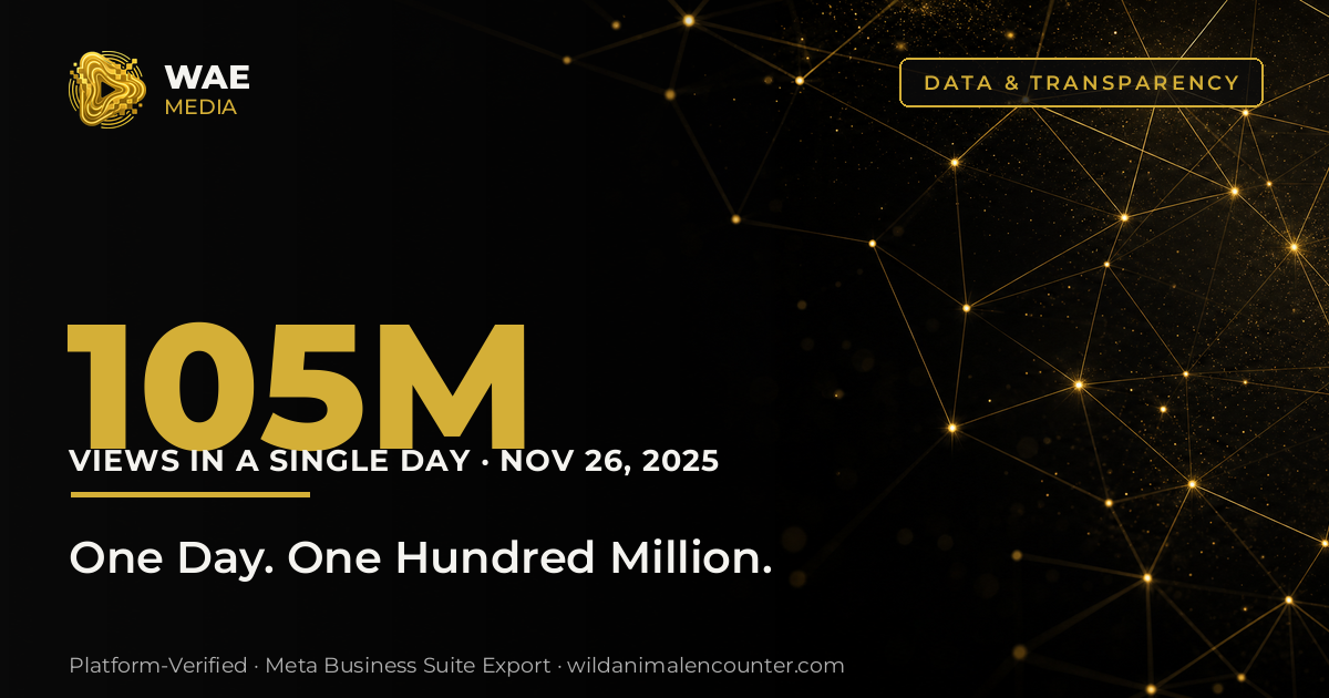 105 Million Views in a Single Day: Inside November 26, 2025